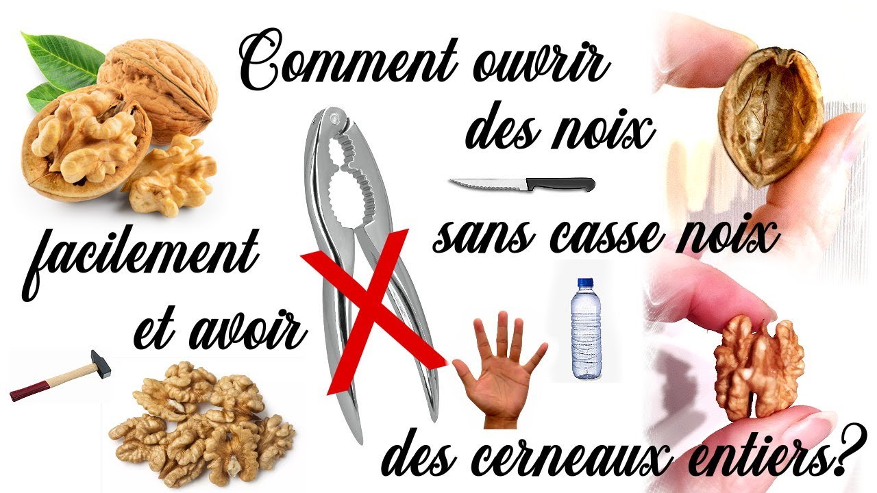 Comment ouvrir / casser une noix facilement sans casse noix & enlever les cerneaux entiers 3 Astuces