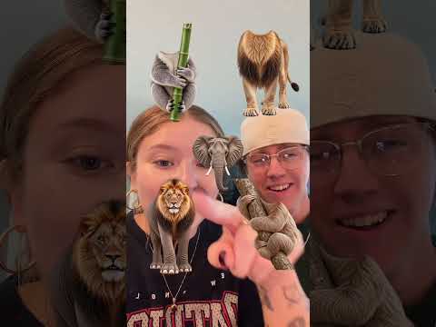 Can you guess the ANIMAL?! 🤯