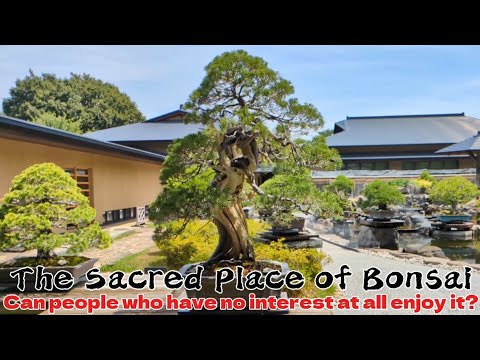 Hidden Bonsai Village Near Tokyo! Could a Non-Bonsai Lover Enjoy it?