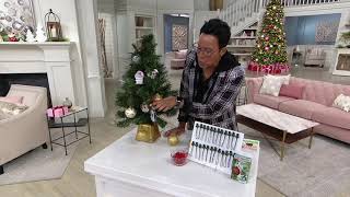 Ornament Anchor Set of 24 Holiday Ornament Hangers on QVC
