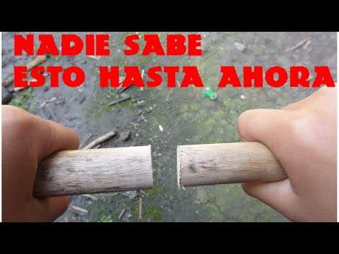 TECNICA para UNIR o ENSAMBLAR DOS PALOS O MADERAS  nadie supo