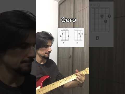 Mi Cura Mi Enfermedad - Tomates Fritos