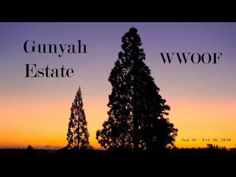 Gunyah Estate WWOOF