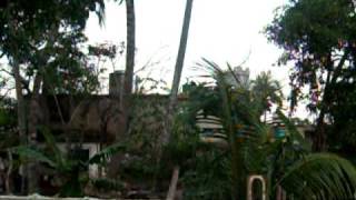 preview picture of video 'Patio en Camagüey, Cuba 2009'