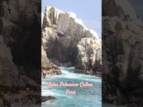 Aventuras inolvidables.#IslasPalomino #Callao #LimaPeru #TurismoPeru #ViajesPeru🍀🌻