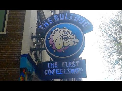 STOPSON / WOLNY - Kierunek Amsterdam (VIDEO) Angry Neighbor production