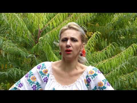 Georgiana Mitrofan   Da Doamne la om noroc