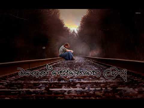 මගෙන් සෙනෙහෙ ලබපු 🎶🖤 ( 𝐌𝐀𝐆𝐄𝐍 𝐒𝐄𝐍𝐄𝐇𝐄 𝐋𝐀𝐁𝐀𝐏𝐔) 𝙰𝙻𝙾𝙽𝙴 𝚕𝚒𝚏𝚎 🖤♥️🎶🙂....