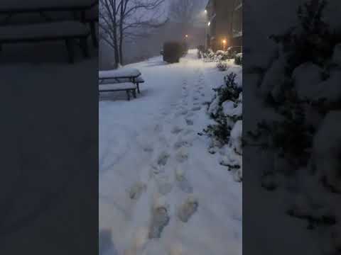 Snow and rain at williamsport PA