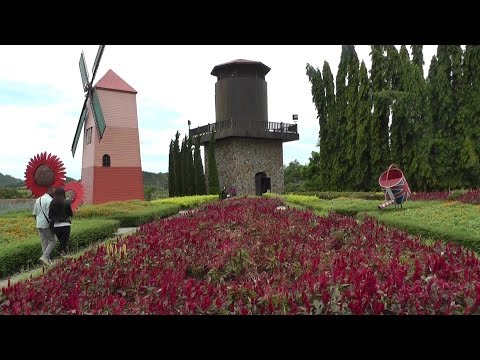 Гора Золотого Будды.Виноградник Silver Lake