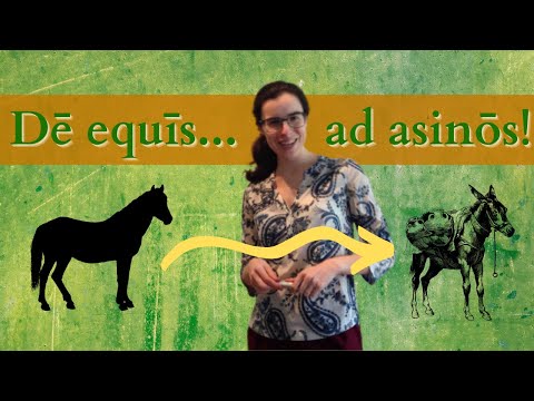 Latine loqui || Latin phrases || De equis ad asinos