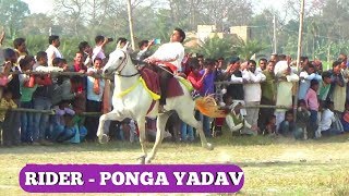 HORSE REVAL CHAL RACE RIDER - PONGA YADAV ON MUZAFFARPUR EXPRESS
