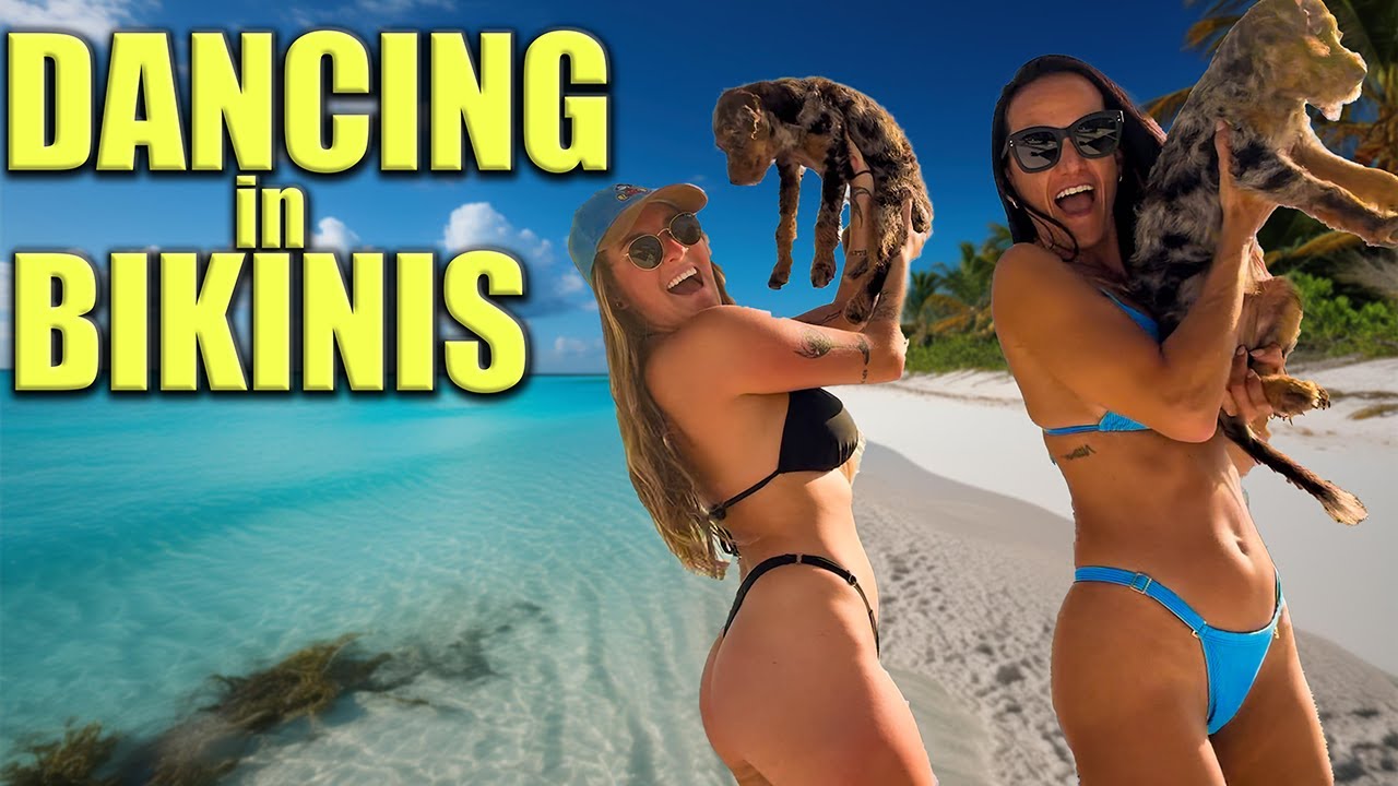 Dancing Girl in Bikinis with Puppies, Does it get better?