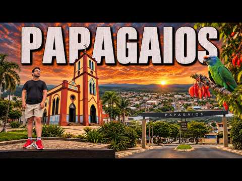 Papagaios - Série Cidades de Minas
