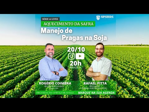AQUECIMENTO DA SAFRA - SÉRIE DE LIVES - MANEJO DE PRAGAS DA SOJA COM DR. RAFAEL PITTA -EMBRAPA