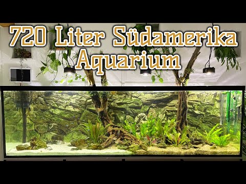 Pflegeleichtes 720 Liter Amazonas-Aquarium | Aus Asien wird Amazonien | Teil 2