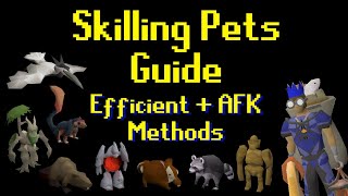 Skilling Pets Guide (Efficient + Afk Methods) OSRS