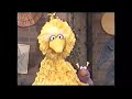 Sesame Street Honker Duckie Dinger Jamboree