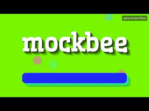 MOCKBEE - HOW TO PRONOUNCE IT!?