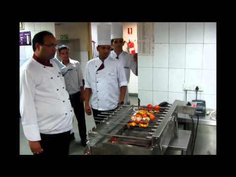 Automatic Tikka Grill 14 Seekh Gas Grill