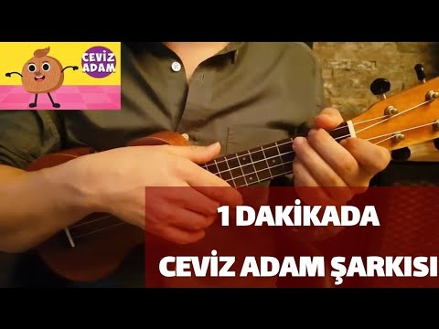 CEVİZ ADAM UKULELE İLE NASIL ÇALINIR? UKULELE DERSİ