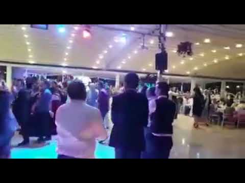 Erik Dalı   (ALİ TAŞKIN)