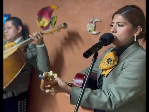 Promotional video thumbnail 7 for Mariachi 3 Generations