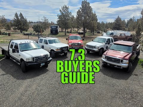 7.3 FORD POWERSTROKE Buyers Guide