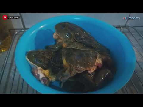 How To Cook FROGS🐸 - DELICIOUS RECIPE  (Namibia🇳🇦) @BIZZARE FOODS @Mark Wiens #roadto500subscribers
