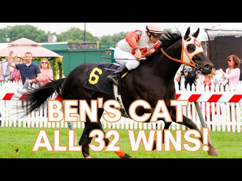 Ben’s Cat All 32 Wins!