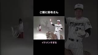 ご飯に掛布　#shorts