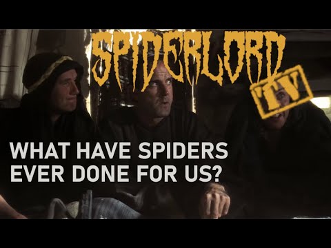 What have spiders ever done for us?