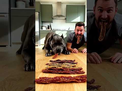 Dog vs Human Beef Jerky Race… TOO TOUGH TO CHEW 😂🐶🥩 #dogshorts #funny #funnydog #viral #puppy