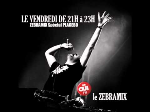 ZEBRAMIX Spécial PLACEBO