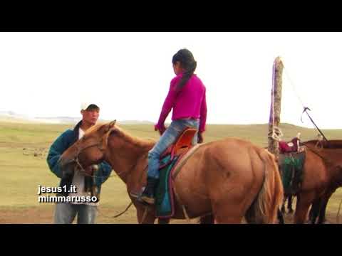 Mongolia ZHARGAL AL GALOPPO