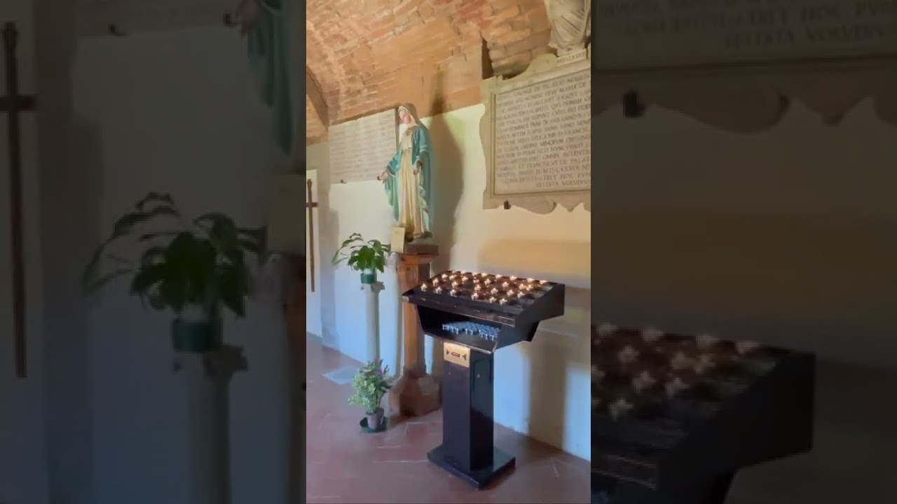 YouTube Short thumbnail