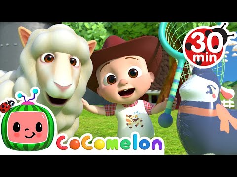 Baa Baa Black Sheep (Pretend Play Edition) + More Nursery Rhymes & Kids Songs - CoComelon