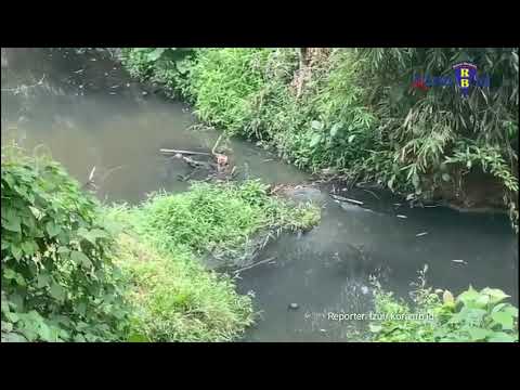 Dugaan Sungai Gasan Tercemar Limbah PT Agrindo Indah Persada
