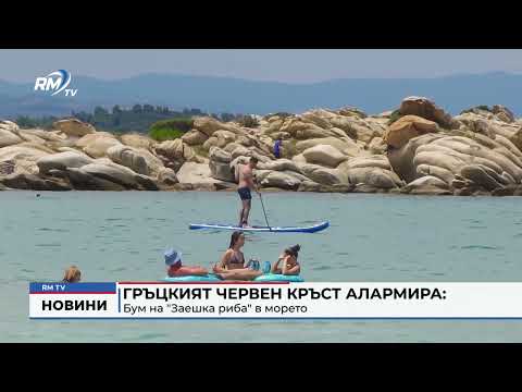 Гръцкият червен кръст алармира: Бум на \