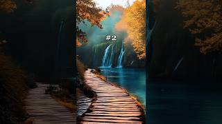 Which relaxing path would you choose? 💭