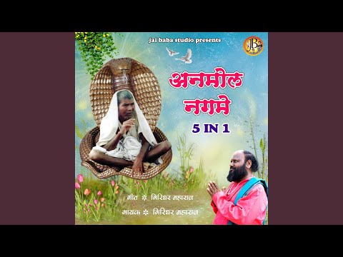 Baba cha Janmdini Kokida Geet Gaye