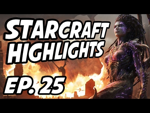 StarCraft Daily Highlights | Ep. 25 | dankshrine, Avilo, BASETRADETV, 스캔, x5_PiG, Puckk