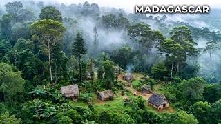 MADAGASCAR: The World’s Most Isolated Ecosystem | Travel Documentary