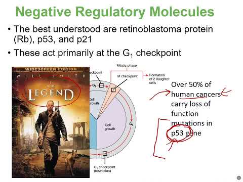 Biology2E Ch10 MChen Lecture Video Part3