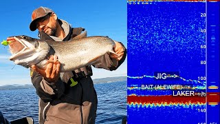 The Secret to Reading Deep Lakers on 2D Sonar