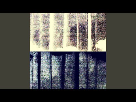 Video thumbnail for Reground the Garden