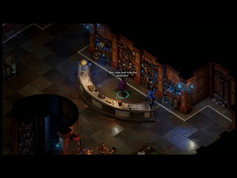 PILLARS OF ETERNITY 2 DEADFIRE  Fassina the Mage Mission  4K / 60fps