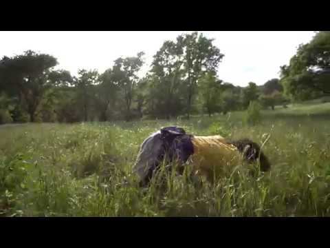 NONVMES - Muses [Willow Smith 'Female Energy' Remix]