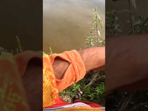 Pesca y Cocina en los Gomez, Tucumán #pesca #pescaycocina #dorados #pescaydevolucion #fishing