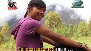 Download lagu CE DUMPEK - Erphin Dion dan Shanty mp3